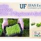 Growing Microgreens at Home – A Beginners Guide event image