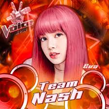 Does anyone know how I can watch all the seasons of the voice ? Starting  from season 1