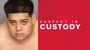 Stockton, San Joaquin deputies' patrol cars rammed