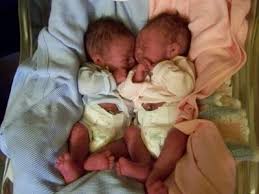 Birds And Bees Nursery Website Birds Bees Nursery Silicone Babies Silicone Reborn Babies Baby Dolls For Sale Realistic Baby Dolls