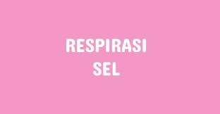 Pin Di Blog