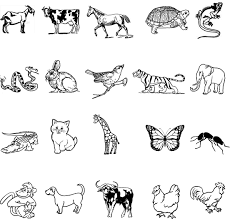 Kumpulan soal uas bahasa inggris smp kelas 7 semester 1. Download Modul Bahasa Inggris Tentang Animal Sinau Inggris Com