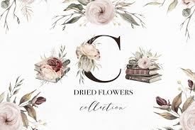 Dried Flowers Watercolor Collection In Illustrations On Yellow Images Creative Store The resolution of image is 663x700 and classified to desert plant, potted plant, house plant. dried flowers watercolor collection in