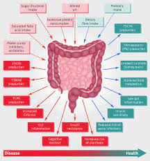 Role Of The Gut Microbiota In Nutrition And Health The Bmj
