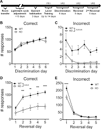 The useful details such as the date, topics and a the conference website is all present in this. Impaired Instrumental Reversal Learning Is Associated With Increased Medial Prefrontal Cortex Activity In Sapap3 Knockout Mouse Model Of Compulsive Behavior Neuropsychopharmacology