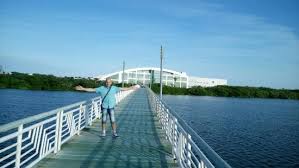 En la laguna del carpintero de tampico, una mujer en situación de calle fue arrastrada por un cocodrilo. Water Birds Iguanas And Crocodiles Review Of Laguna Del Carpintero Tampico Mexico Tripadvisor