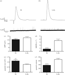 Nmj Morph Reveals Principal Components Of Synaptic