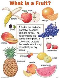 What Is A Fruit Cheap Charts Fruit Facts Fruit And Veg Fruits For Kids