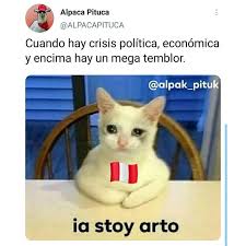 Aquellos que ya tienen una licencia registrada pueden actualizar el programa desde la interfaz. áµ‡áµ‰kiyomiã‚· On Twitter Temblor Sismo Terremoto Abro Hilo De Memes Situacion Temblor En Lima