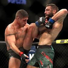 Diego sanchez official sherdog mixed martial arts stats, photos, videos, breaking news, and more for the welterweight fighter from united states. Fabia Claims The Nevada Commission Told Diego Sanchez To Throw A Fight Mmamania Com