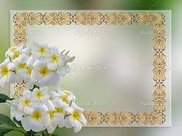Wedding Invitation Plumeria Wedding Site Wedding Invitation Background Wedding Invitations