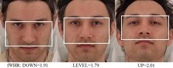 Illustration of the measure of facial width-to-height ratio (fWHR) for...