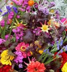 Aug 10, 2019 · here at cali wholesale, we strive to provide you with the freshest flowers. Meet The Farmers California Cut Flower Commission