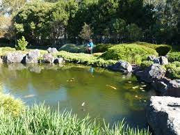 Roaming Roy Goes Gardening Edogawa Gosford Japanese Garden The Tingle Factor Box