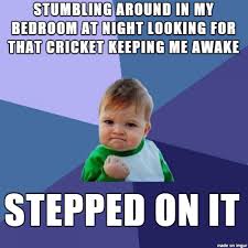 Stupid Nighttime Chirping Cricket Meme On Imgur