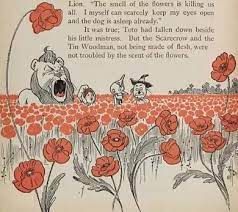 We did not find results for: What Flower Can Make Us Fall Into Deep Sleep After Smelling It Quora