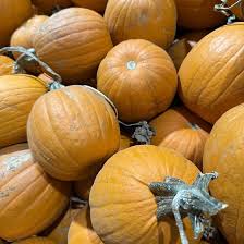 Image result for tbn:0PJB32OL7JwfOM::farm4.static.flickr.com/3324/3329876139_f2d551139f.jpg