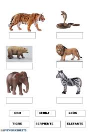 Excelente cuaderno kinder de lectoescritura para niños de preescolar y primaria. Pin En Nivel 3 Anos