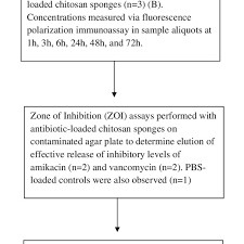 Flow Chart Outlining Study Design The Elution Study And