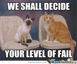 Meme Center Epic Fail Department Funny Animal Pictures Funny Animals Cat Fails