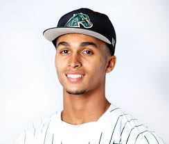 Broward 7A-6A baseball first team, second team, honorable mention and coach  of the year