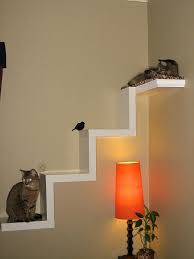 Ikea Lack Shelf Made Into Cat Furniture Flickr Photo Sharing On Cat Furniture Cat Shelves Cat Stairs