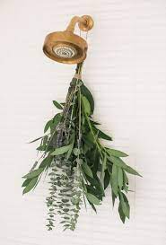 A eucalyptus bundle isn't just extraordinarily beautiful, but it's also incredibly useful. How To Add Eucalyptus In The Shower Sugar And Charm