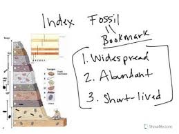 Ch12 Index Fossil 8th Grade Science Index Physics
