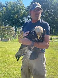 Injured Bald Eagle Rescued from Chester River