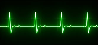 Hasil gambar untuk ekg