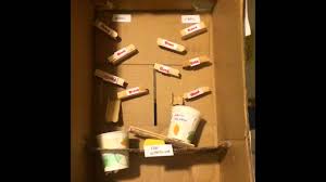 Insulin Glucose Project Youtube