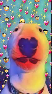 Barkley is energetic and playful, but is not anthropomorphized in the way that rowlf and other characters are. Pin On Wallpapers