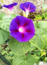 June 2022 Saddle Up! Magazine by Saddle Up! Magazine