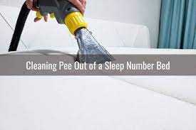 Sleep number bed washing instructions. How Can You Clean A Sleep Number Mattress Ready To Diy