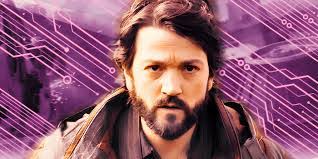 Linda Buys's Instagram, Twitter & Facebook