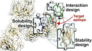 The term in silico stems from the computer component silicium; Third Generation Antibody Discovery Methods In Silico Rational Design Chemical Society Reviews Rsc Publishing