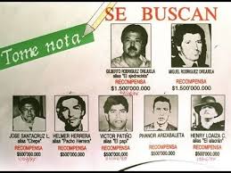Template:infobox criminal organization the cali cartel was a drug cartel based in southern colombia, around the city of cali and the valle del cauca department. The Almighty Cali Cartel June 2021