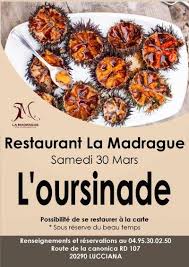 Oursinade Restaurant La Madrague Lucciana Le 30 Mars 2019 Corsevent La Madrague Restaurant Alimentaire