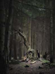 Rock A Bye Baby Haunted Places Picturesque Beautiful Pictures