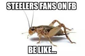 Find the newest crickets meme. Pin On Steeler S Suck