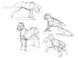 Figuredrawing Info News Animals Cartoon Drawings Of Animals Cartoon Girl Drawing