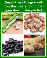 Beans Beans Good For Your Heart R Catmemes