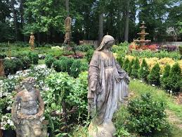 Gardens are a wonderful way to spend time outdoors with your family. Plant And See Nursery