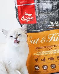 2016 orijen cat & kitten new formula from the facility located in kentucky contains new ingredients that reduces and increases percentages to the nutritional formula in 3 stars. Did You Know Cats Kittens Are Built Orijen Dog And Cat Food Facebook