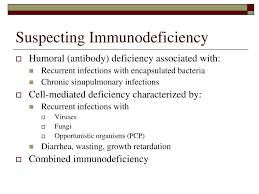 Image result for Humoral Immunodeficiency
