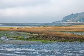 Tides And Currents About Whidbey