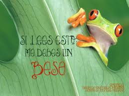 Si Lees Esto Me Debes Un Beso Secretosdefelicidadcotidiana Felicidad Diariodeunabrujamoderna Felicidad Leer