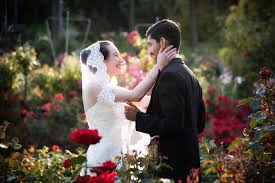 Maybe you would like to learn more about one of these? Blog Alyson Levy Photography