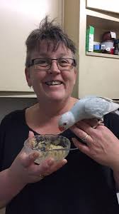 Where's the Soreen, Doreen ??? Yaoar 289k1/37Ahtl 158kca 0.9g 0,2g .24g  SOURCE OF FIBRE ลิไไง1284 4% 12％ Typical esper per1 er100 100g: :Energy  Soreen® THE ORIGINAL MALTLOAF MALT LOAF Samsung Galaxy A04e