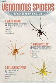 Pin On Webmd Tips And Special Reports